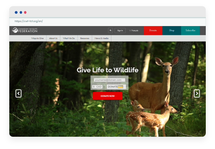 Canadian Wildlife Federation